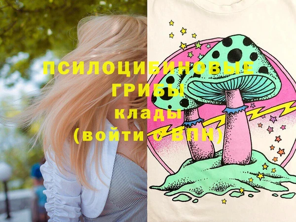 спиды Богородск