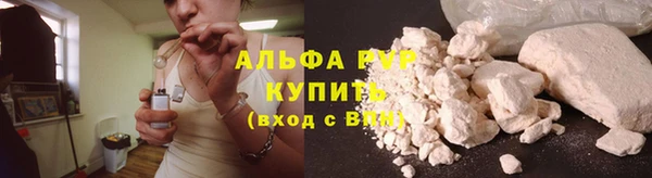 ешки Богданович