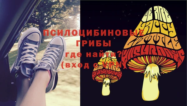 спиды Богородск