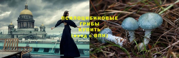 ешки Богданович